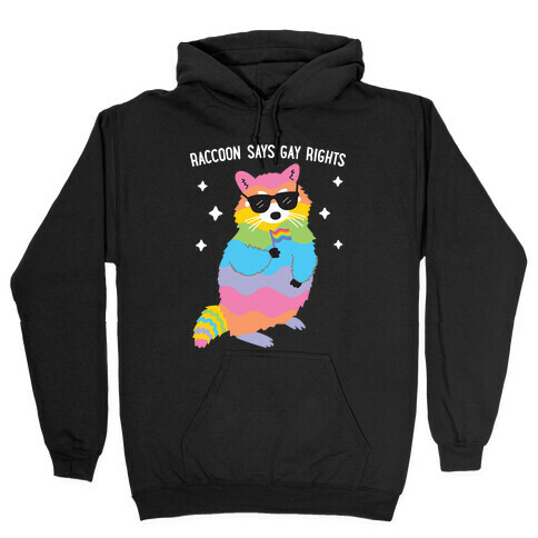 Raccoon Says Gay Rights Hooded Sweatshirt