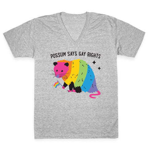 Possum Says Gay Rights V-Neck Tee Shirt
