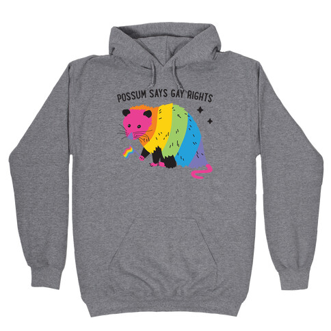 Possum Says Gay Rights Hooded Sweatshirt