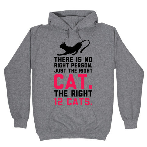 There is No Right Person. Just the Right Cat. Hooded Sweatshirt