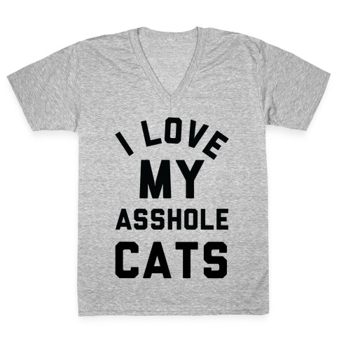 I Love My Asshole Cats V-Neck Tee Shirt