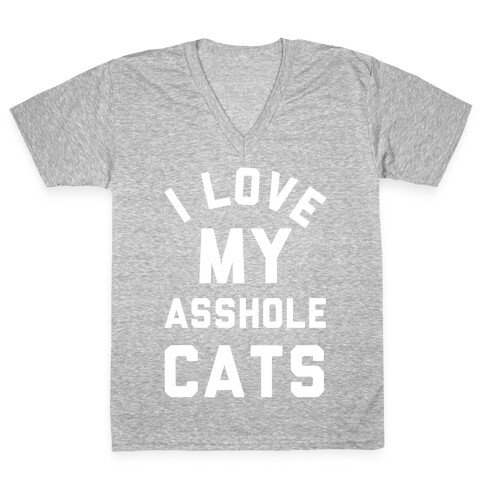 I Love My Asshole Cats V-Neck Tee Shirt