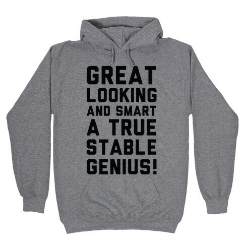 Great Looks and Smart A True Stable Genius  Hooded Sweatshirt