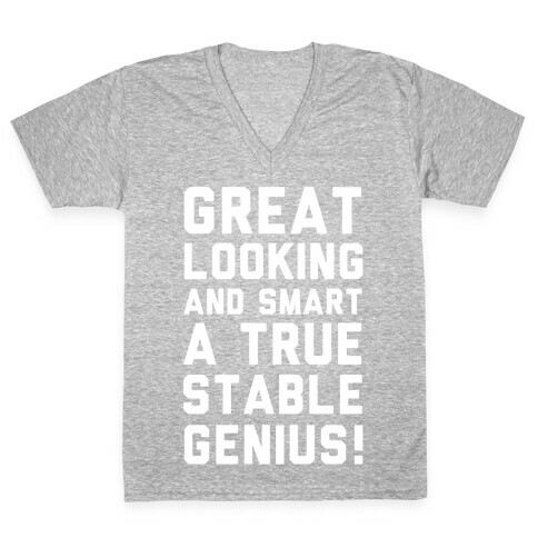 Great Looks and Smart A True Stable Genius  V-Neck Tee Shirt