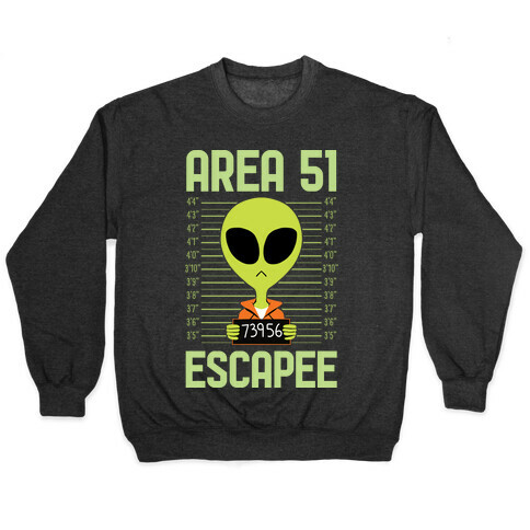 Area 51 Escapee Pullover