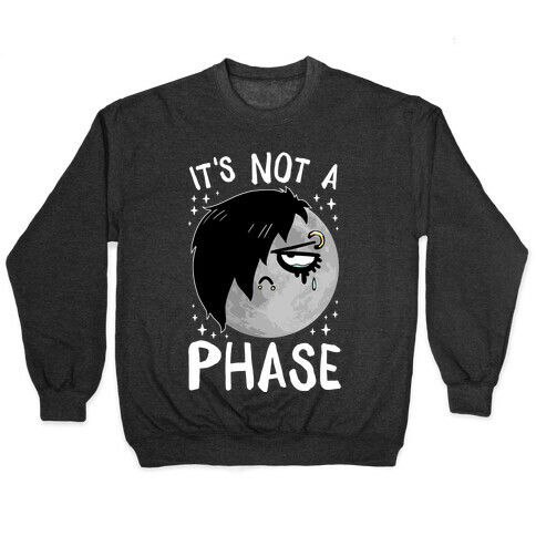 It's Not A Phase Pullover