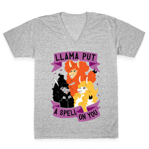 Llama Put A Spell On You V-Neck Tee Shirt