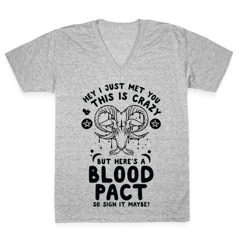 Hey I Just Met You and This is Crazy But Here's a Blood Pact So Sign it Maybe V-Neck Tee Shirt