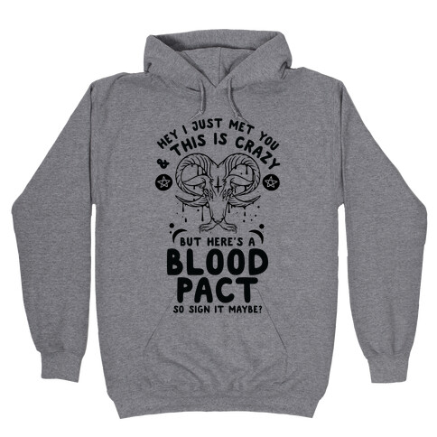 Hey I Just Met You and This is Crazy But Here's a Blood Pact So Sign it Maybe Hooded Sweatshirt