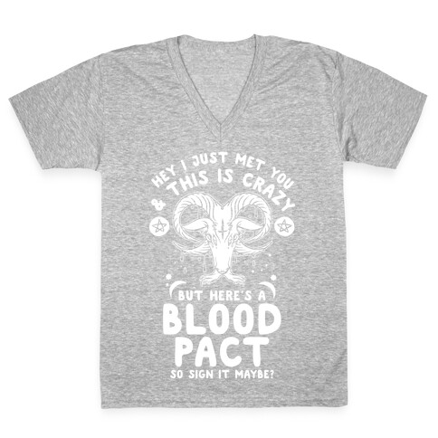 Hey I Just Met You and This is Crazy But Here's a Blood Pact So Sign it Maybe V-Neck Tee Shirt