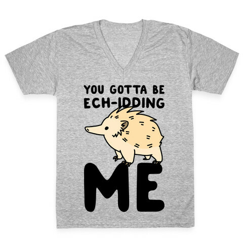 You Gotta Be Ech-idding Me  V-Neck Tee Shirt