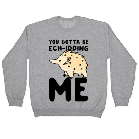 You Gotta Be Ech-idding Me  Pullover