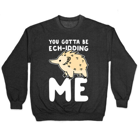 You Gotta Be Ech-idding Me  Pullover