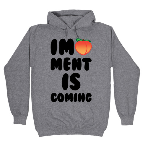 Impeachment Is Coming Hooded Sweatshirt