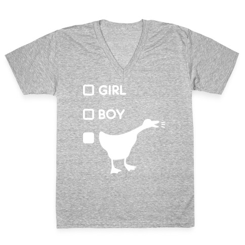 Girl Boy Goose Gender V-Neck Tee Shirt