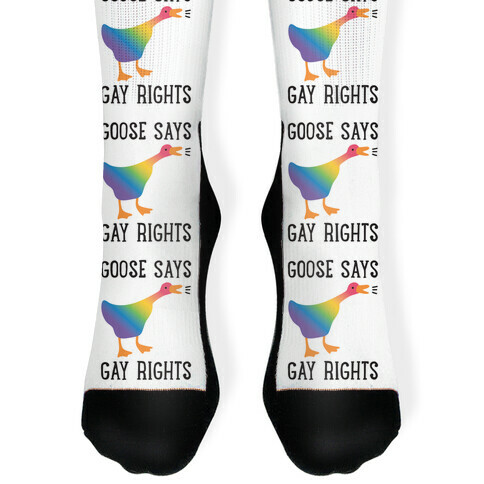 Goose Says Gay Rights Sock