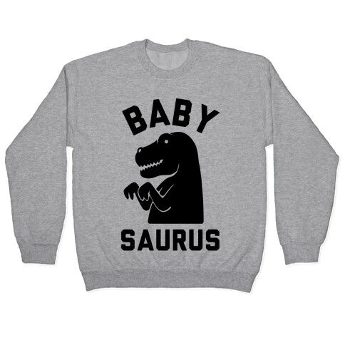 Baby Saurus Boy Pullover