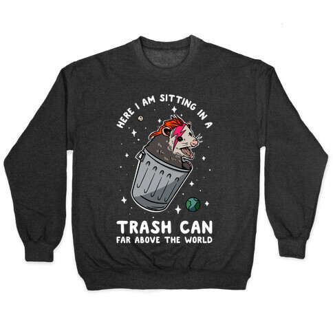 Here I am Sitting in a Trash Can Far Above the World Opossum Pullover