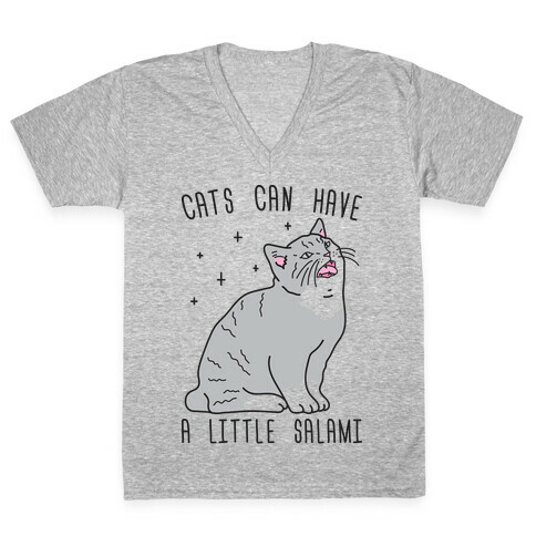 Cats Can Have A Little Salami V-Neck Tee Shirt