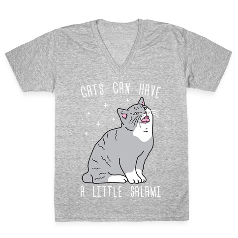 Cats Can Have A Little Salami V-Neck Tee Shirt