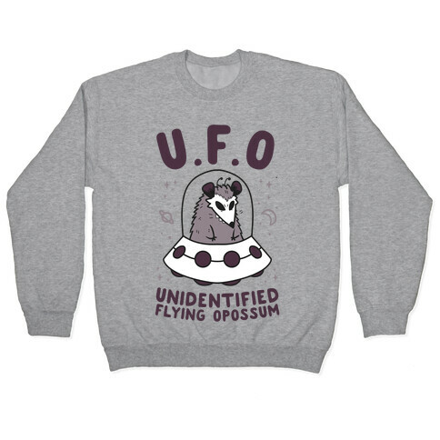 Unidentified Flying Opossum Pullover