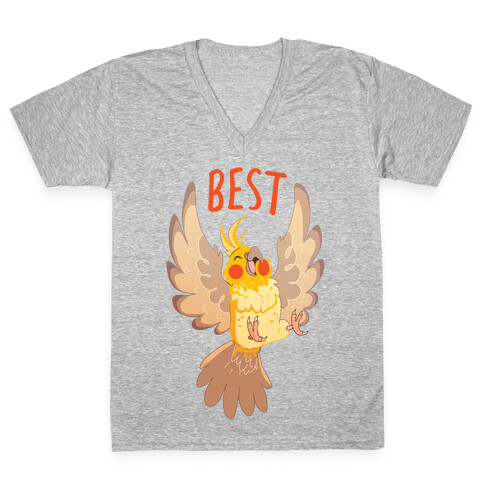 Best Birbs V-Neck Tee Shirt