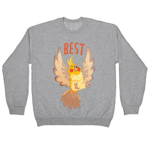 Best Birbs Pullover