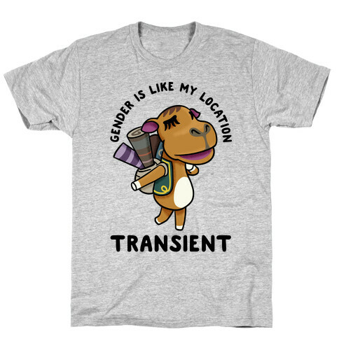 Gender is Like My Location Transient Sahara T-Shirt
