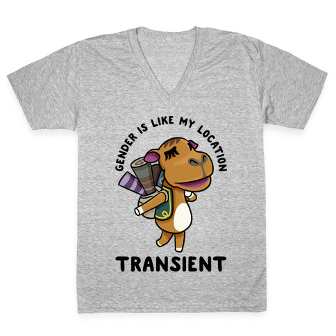 Gender is Like My Location Transient Sahara V-Neck Tee Shirt