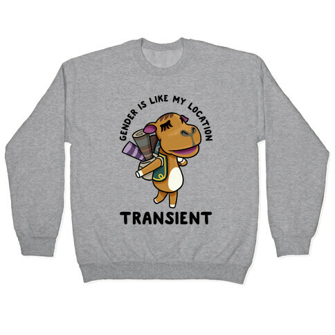 Gender is Like My Location Transient Sahara Pullover