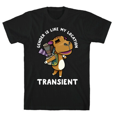 Gender is Like My Location Transient Sahara T-Shirt