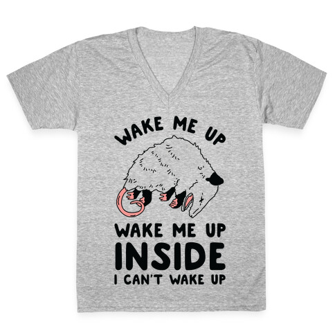 Wake Me Up Wake Me Up Inside I Can't Wake Up Opossum V-Neck Tee Shirt