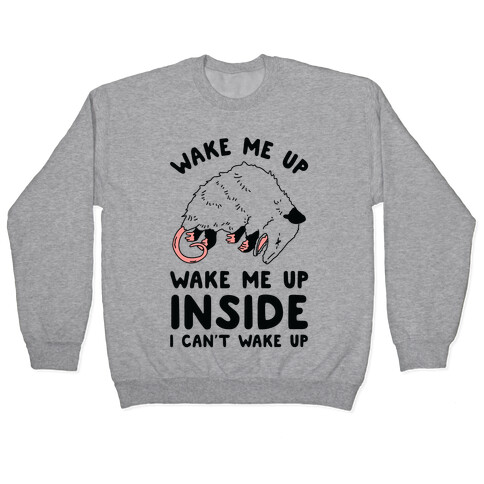 Wake Me Up Wake Me Up Inside I Can't Wake Up Opossum Pullover