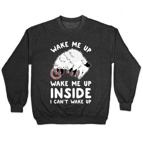 Wake Me Up Wake Me Up Inside I Can't Wake Up Opossum Pullover