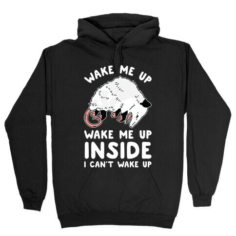 Wake Me Up Wake Me Up Inside I Can't Wake Up Opossum Hooded Sweatshirt