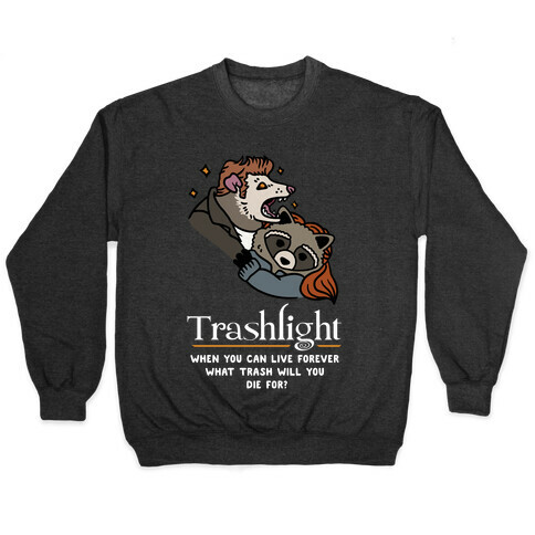 Trashlight Raccoon Opossum Parody Pullover