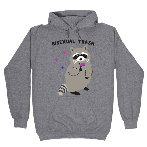 Bisexual Trash Raccoon Hooded Sweatshirt