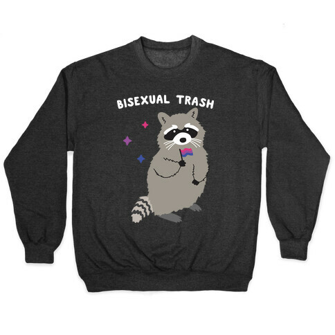 Bisexual Trash Raccoon Pullover