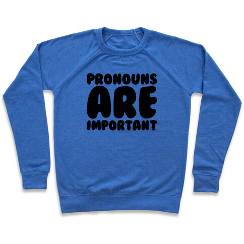 Pronouns Are Important Pullover