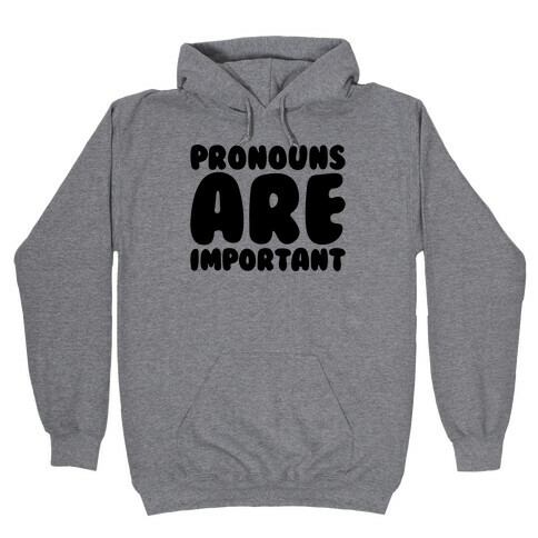 Pronouns Are Important Hooded Sweatshirt