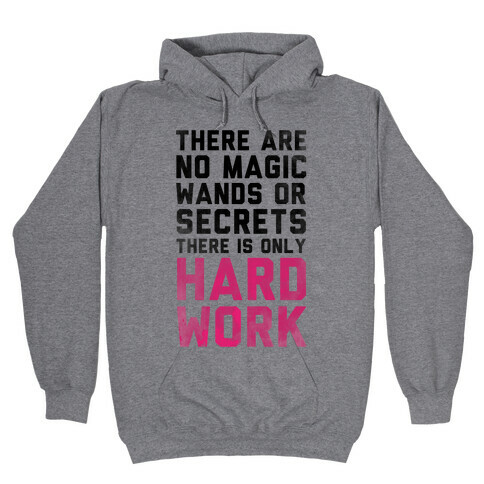 There are No Magic Wands or Secrets. There is only HARD WORK Hooded Sweatshirt