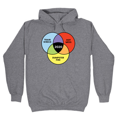 A Venn Diagram for 2020 Hooded Sweatshirt