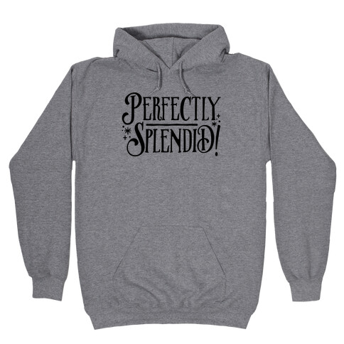 Perfectly Splendid Hooded Sweatshirt