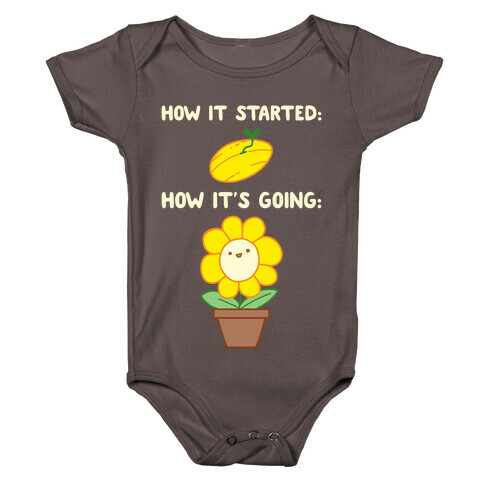 How It Started and How It's Going Flower Baby One-Piece