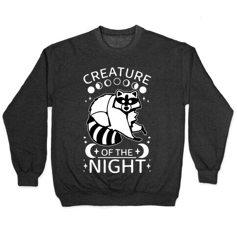 Creature Of The Night Raccoon Pullover