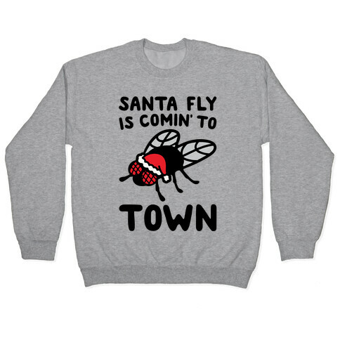 Santa Fly Is Coming To Town  Pullover