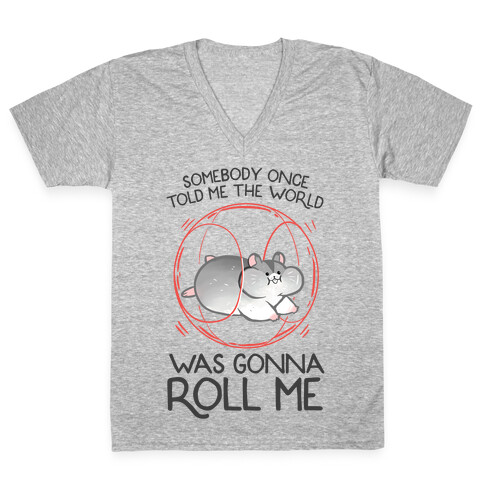 Somebody Once Told Me The World Was Gonna Roll Me V-Neck Tee Shirt