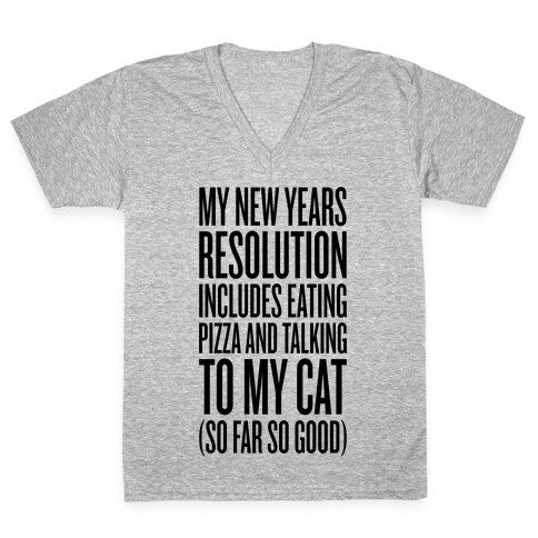 Eating Pizza And Talking To My Cat V-Neck Tee Shirt