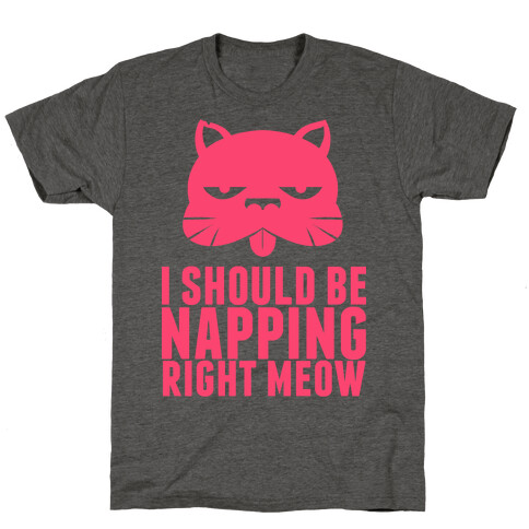 I Should Be Napping Right Meow T-Shirt