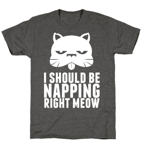 I Should Be Napping Right Meow T-Shirt